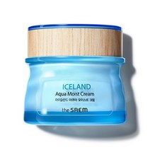 더샘 아이슬란드 아쿠아 모이스트 크림_건성용 수분크림, 아이슬란드 아쿠아 모이스트 크림, 60ml