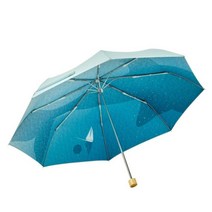스타벅스 ss 접이식 돌고래 양우산 고래 우산