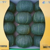 [시나브로팜] 강원도 양구 단호박 밤호박 3kg 4kg. 5kg, 5kg(10~12개/혼합)