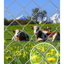 안전 보호망 능형 울타리 고라니망 닭장 메쉬 휀스, 두께 3.0mm 규격 1.5 10m 홀 6cm