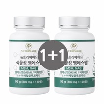 뉴트리메이드 식물성 엠에스엠 800mg x 120정 1+1, 2병