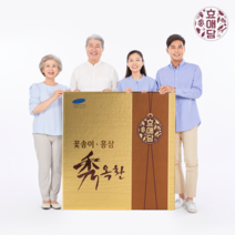 효애담 부모님선물 한약환 활력환 수옥환 30환