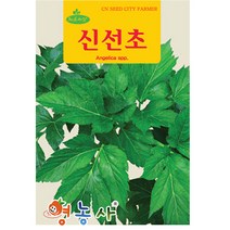 신선초씨앗 100립, 단품
