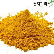 강황가루 1kg