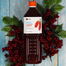 *출시기념 특가*문경 오미자청 1L 9 900원, 선택01_아이스오미자청 1000ml X 1개, 1개