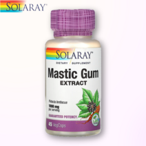 솔라레이 매스틱검 매스틱 아라비아검 masticgum
