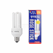 포커스 장미전구 삼파장 EL 30W