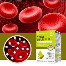 혈당낮추는방법 식후조절관리 케어 영양제 바나바잎 혈압혈당낮추기 코로솔산 다년생 상록수