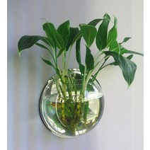 무타공 벽걸이 아크릴 화분 반려 식물 홈장식, 원형 295mm 거울