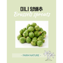 [Farm Nature] 미니양배추, 200g