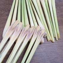 베트남 생 레몬그라스 1kg, 레몬그라스 10kg