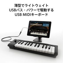 KORG Korg Classic USB MIDI 키보드 MicroKey-25 음악 제작 DTM 공간 절약 소프트웨어 라이센스 25 키를 포함한 키, 상품명참조, 상품명참조