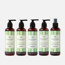 발리래디언스 오가닉 & 비건 모닝 만트라 퍼스너 바디 케어/샴푸 /컨디셔너 /바디워시 /바디로션 /바디미스트 5종세트, 샴푸