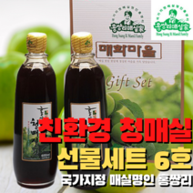 홍쌍리 청매실농원 명인의 손끝에서 태어난 청매실 설 추석 선물 가족건강식 선물세트 매실장아찌 고추장장아찌 매실액 매실액기스 매실 원액 매실절임 친환경농법매실 명절 효도, 2개입, 원액600ml, 6호