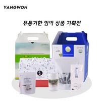 [양원농장] 유통기한 임박 상품 특별기획전(티백차), 도라지차100T