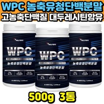 단백질 프로틴 WPC 보충제 유청단백질 BCAA 류신 이소류신 발린 아미노산 쉐이크 음료 마시는 근육 보강제 운동 헬스 전후 타먹는 농축유청단백분말 BCAA 노인 중장년 추천 식사대용