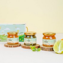 벨롱벨롱 제주청에 반하다 과일청 3종 선물세트 360g