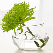 VILJESTARK 빌리에스타르크 유리 꽃병 이케아 8cm, 상세페이지 참조