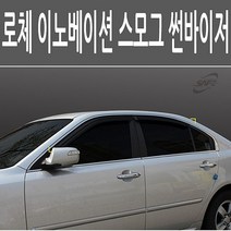 로체 이노베이션 어드밴스 스모그 썬바이저 선바이저 몰딩, 본상품선택, 1개, 본상품선택