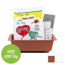 화분월드 가드닝 베란다 텃밭 채소키우기 행복화분 + 흙 7종세트, 채소밭15호 받침 텃밭세트(백색)