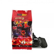 캠핑 참숯 숯효능 불멍 1kg 1196 숯불구이 바베큐 캠핑용품