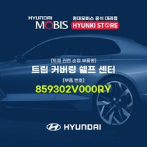 현대모비스 트림 커버링 쉘프 센터 (859302V000RY)