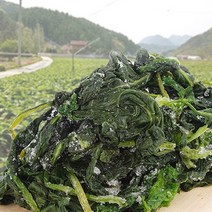 생 곤드레 나물 강원도 영월 직접 재배(4kg) 무침 밥 해먹기 좋은 나물, 삶아서 얼린 곤드레나물 4kg/1팩