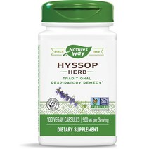 네이쳐스웨이 히솝 허브 450mg 베지테리안 캡슐, 100개입, 1개