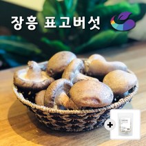 [일주일만! 건표고 증정] (못난이 파지 파치 등외 장흥표고) 장흥 생표고버섯 파지4kg + 건표고_채_50g증정 P, 1박스, 4kg + 건표고_채_50g증정