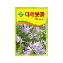 (CN) 타레붓꽃 씨앗 (15립)
