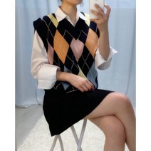 아가일 브이 체크 베스트