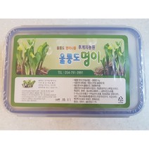 후계자농원 (울릉도 국내산)울릉도 산마늘 명이나물 장아찌 1kg, 울릉도명이, 1kg(하드케이스) 1개