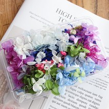 드라이플라워 부케 유리돔 꽃다발 가랜드 보존화 리스 방향제 캔들 청접장 압화, 초프리미엄 드라이 플라워 한 박스