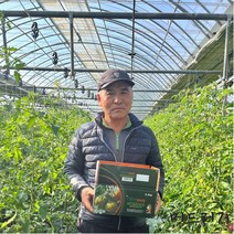 [머드러기] 산지직송 당일발송 대저 짭짤이 토마토 2.5kg, 대저 토마토 2.5kg(M/중과/A등급)