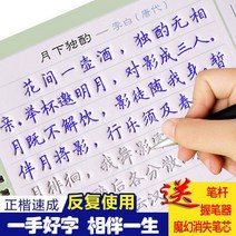 만년필 따라쓰기 정체의 글씨본 서첩 글씨를 연습 스티커 해서다 홈 하드 펜 고등학교 빅 여학생 스윗 2659386421, 베이스_늘문자를사용하고있다3붓대30펜리필심3쥐기필기