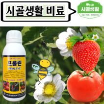 [시골생활 비료] 아미노산영양제 수정촉진제 낙화 낙과 예방 방지제 착과 고추 오이 딸기 토마토 복숭아 자두 비료 베란다텃밭 프롤린 500ml, 1개