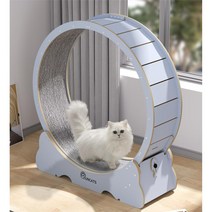 런캣 채색 캣휠 무소음 고양이캣휠 실내 운동훈련 헬스기구 다양한 색상 사이즈, XL(113*36*120), 자체 조립, 스카이블루