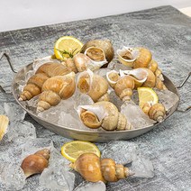 [자연맛남] [산지직송] 자연산 동해안 백골뱅이 1kg (특대/6-10미), 상세 설명 참조