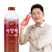 천연 미네랄 경도300 해양심층수 사랑해 골드 20개 500ml