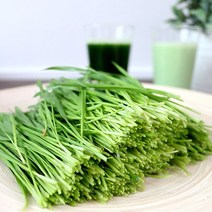 [사그담] [산지직송]청정 강원도 평창 재배 생 밀싹 500g, 상세 설명 참조