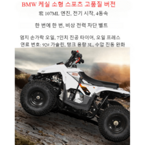 ATV 사륜오토바이 바이크 4발 사륜바이크 4륜오토바이 농업용운반차 사륜차 농기계 사발이, BMW 키즈 스포츠 하이 에디션