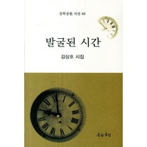 발굴된 시간, 문학공원, 김상호 저