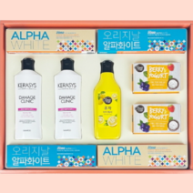 선물용 샴푸 바디워시 클렌징바 치약 세트 추천 저렴한 교수님 명절 구정 설날 설 선물 1만원대 베스트, 선물 세트