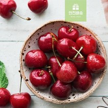 특급_수입산_판매_500g_종류_체리_바이오_영화청과 5FDC, 상세페이지 참조