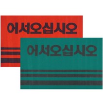 리빙템 어서오십시오 카페트 매트 90x120 #999EA, 그린