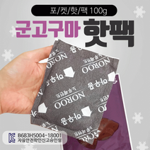 핫팩[국산핫팩]핫팩 차박 겨울캠핑 핫팩유니트 낚시용, 붕어빵핫팩(포켓형-150g)