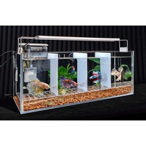 구피 산란통 베타항 안시 부화 치어 격리 분리 물고기, 3. 6칸