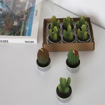 캔들공방 재료 워머 우드윅 석고 방향제 소이 테라리움 용기 미니, 4