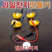 과일전지만들기 멜로디버저(1인용)