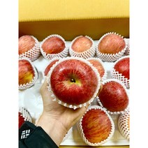 사과 유명한곳 경북 청송 홈골농원 꿀 맛 사과 부사 가정용 5kg, 정품+흠과10kg(소과)